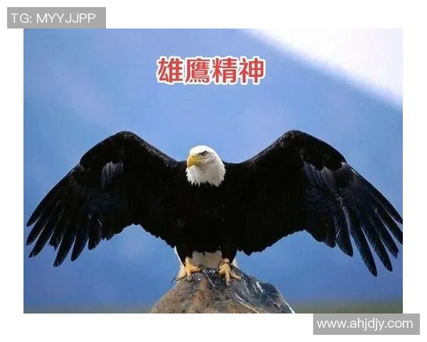 突破极限迎接挑战,超越自我塑造未来的勇气与智慧 突破极限迎接挑战,超越自我塑造未来的勇气与智慧