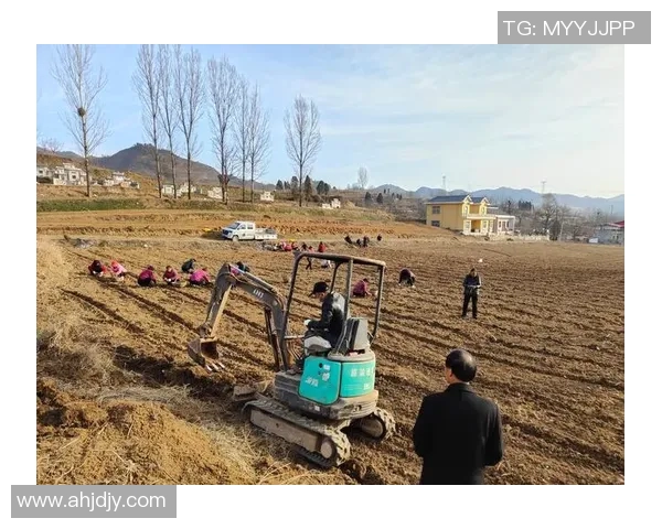 果园里的四季变迁与农业可持续发展的探索与实践 果园里的四季变迁与农业可持续发展的探索与实践