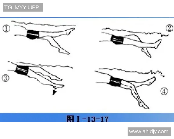 仰泳运动基本介绍与技巧解析 让你轻松掌握这项水中技巧