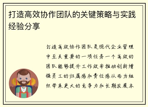 打造高效协作团队的关键策略与实践经验分享